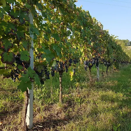 Between Langhe And Monferrato Διαμέρισμα *